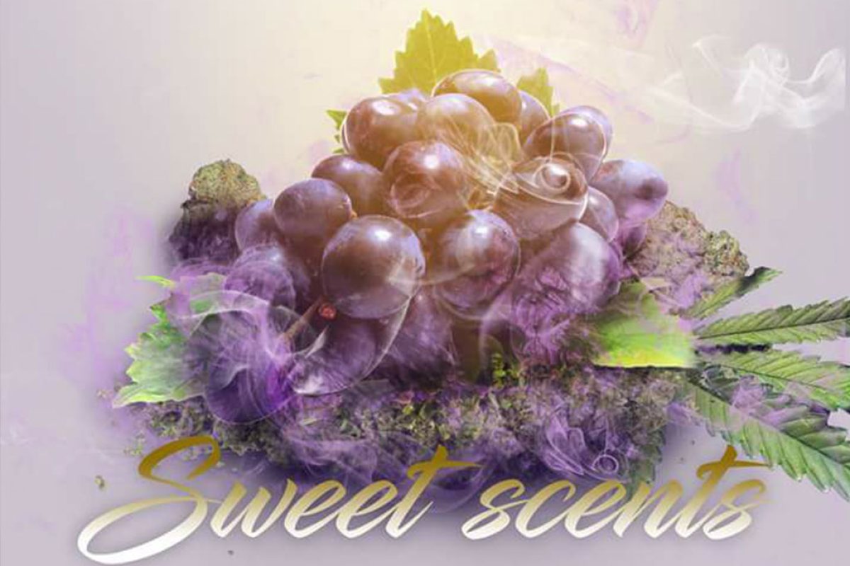 sweet-scents